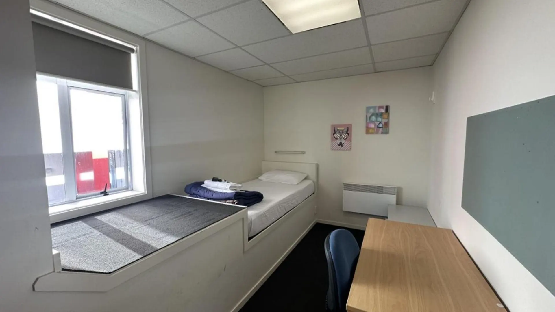 Trek Global Backpackers Hostel Wellington