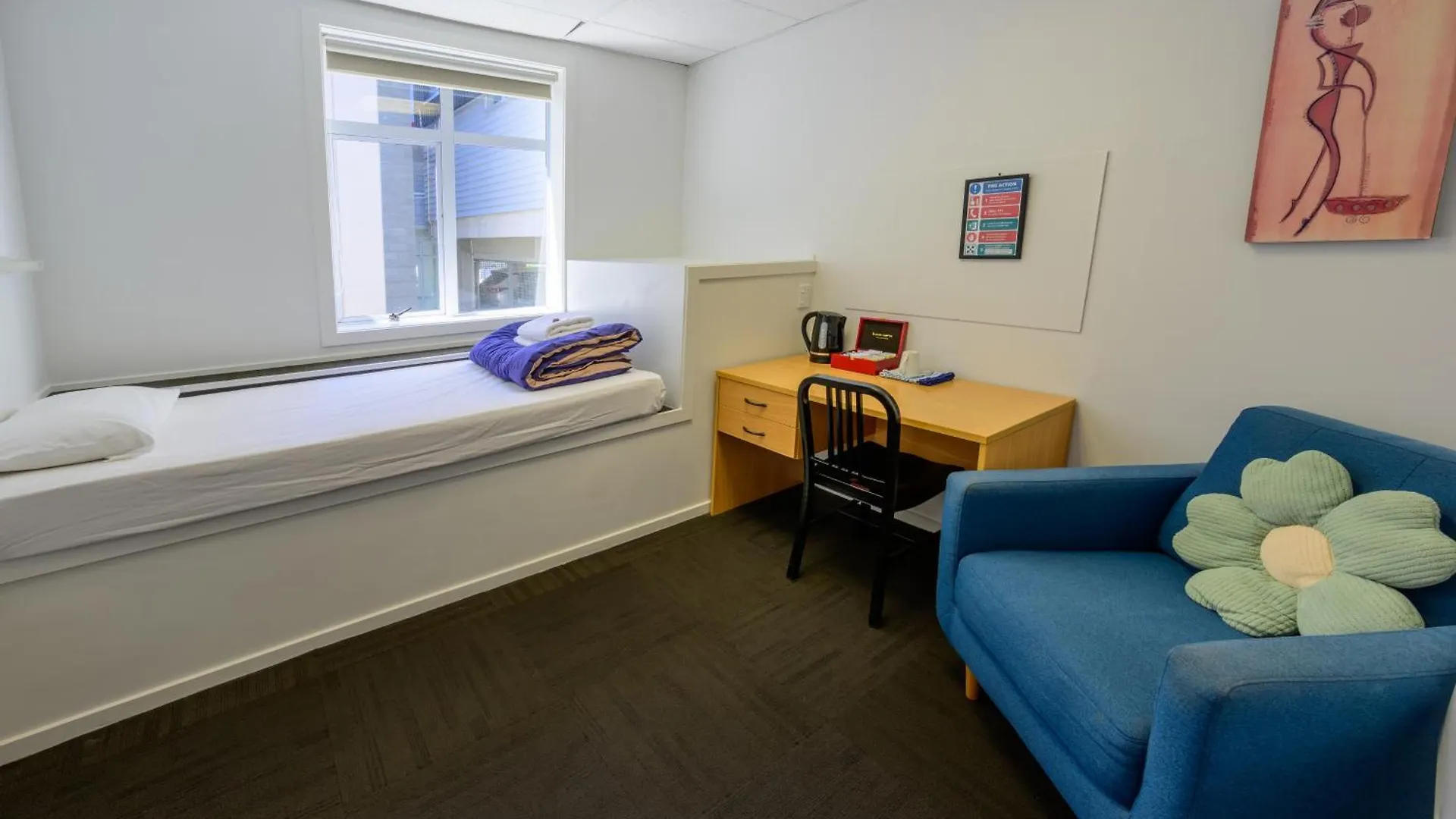 Trek Global Backpackers Hostel Wellington New Zealand