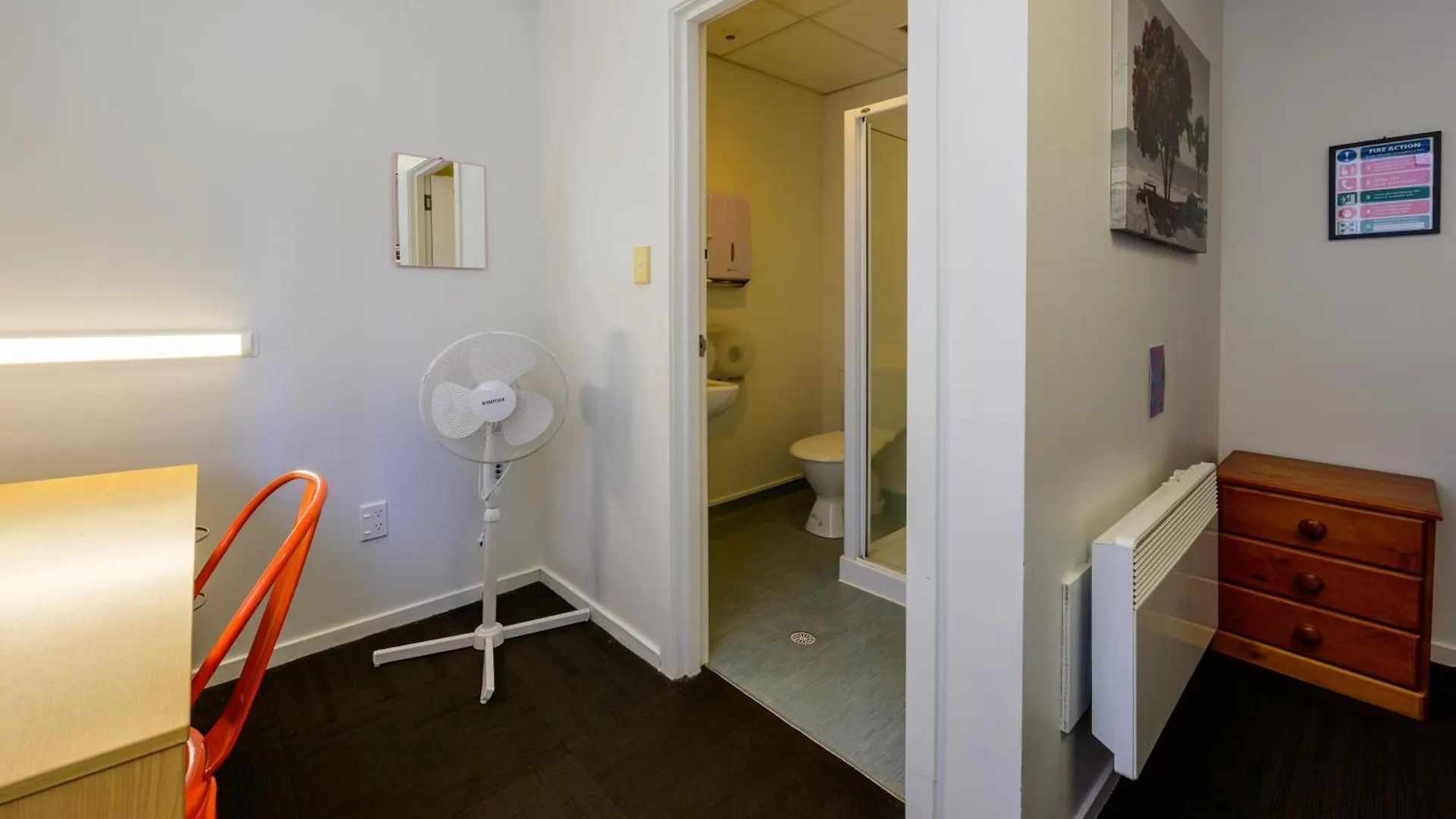 Trek Global Backpackers Hostel Wellington New Zealand