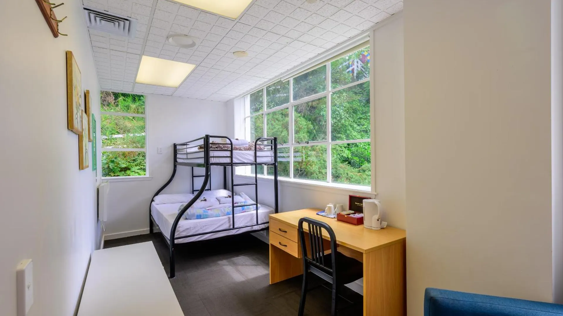 Albergue Trek Global Backpackers Wellington