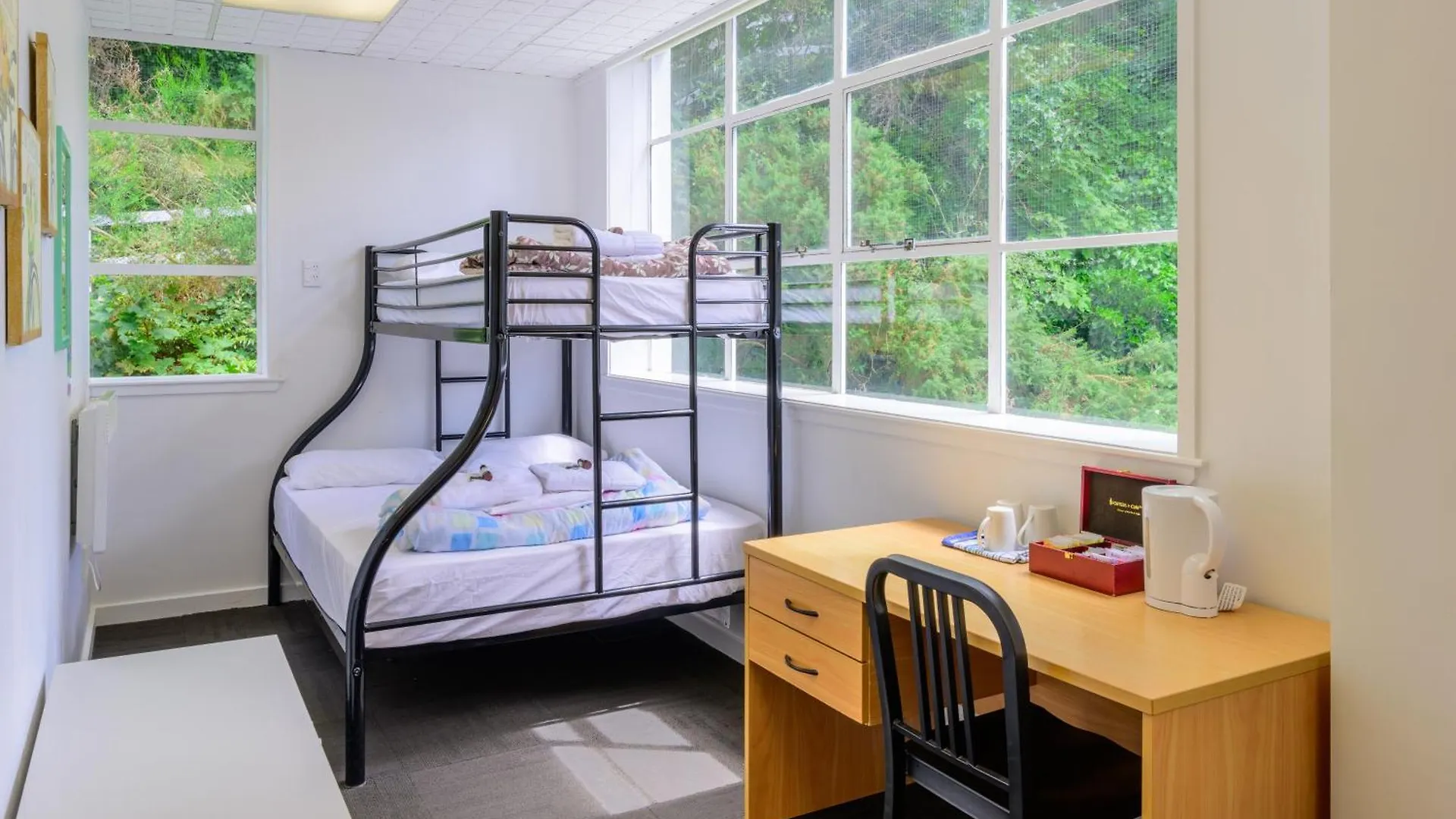 Albergue Trek Global Backpackers Wellington Hostal