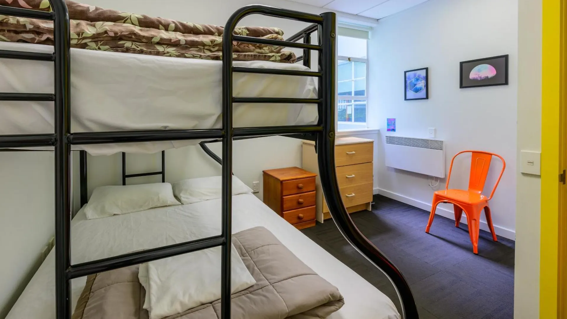 Hostal Albergue Trek Global Backpackers Wellington Nueva Zelanda