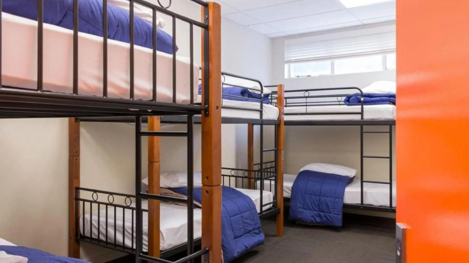 Trek Global Backpackers Hostel Wellington