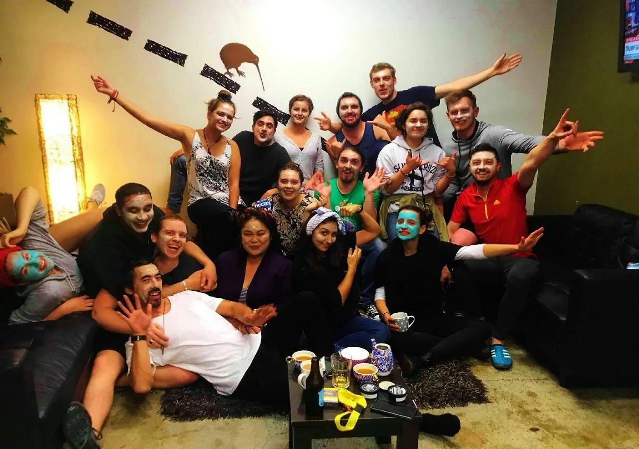 Hostal Albergue Trek Global Backpackers Wellington Nueva Zelanda